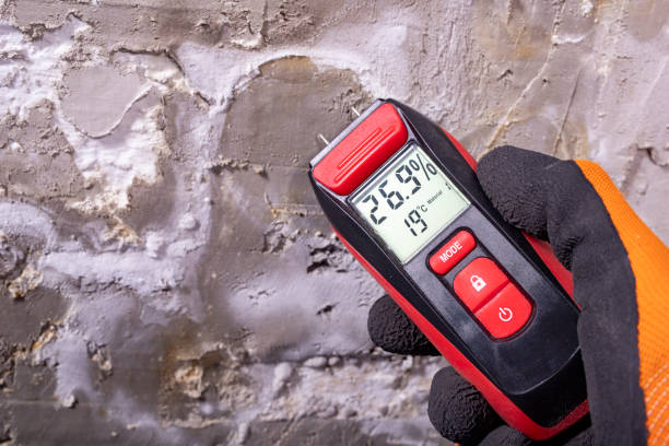 Best Commercial Mold Remediation in London, CA