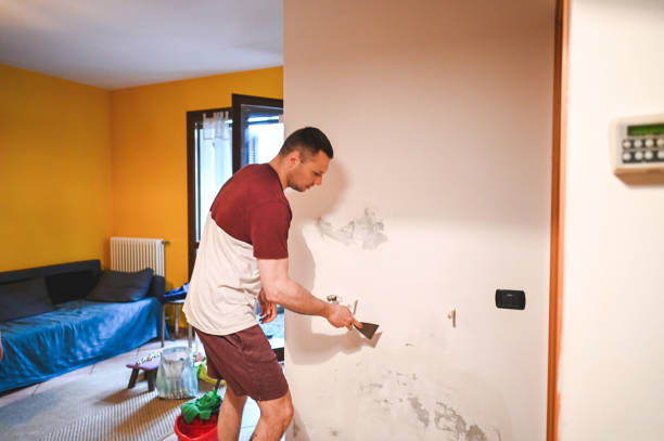 Best Preventive Mold Services in London, CA